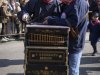 Lart-photographique-by-Florence-2320
