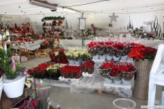 Marché de Noël 2011