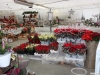 noel_2011_9